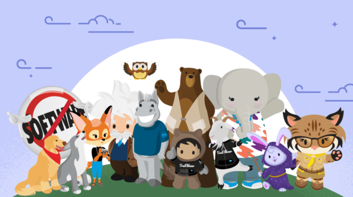 Salesforce mascottes