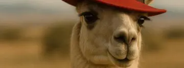 meta llama red hat