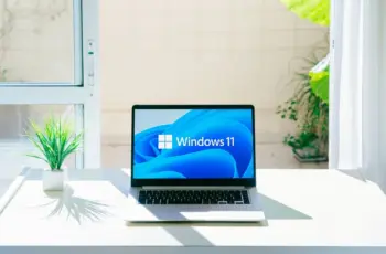 fenêtres 11