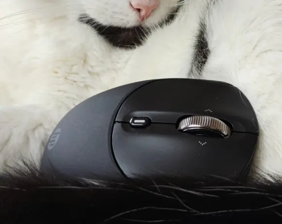 Test de la souris sans fil rechargeable HP 700 : pourquoi recharger ?