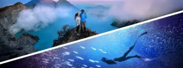 Photoshop et Premiere Elements 2026. Source : Adobe