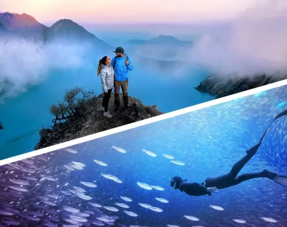 Photoshop et Premiere Elements 2026. Source : Adobe