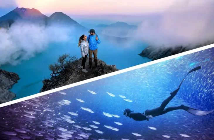 Photoshop et Premiere Elements 2026. Source : Adobe