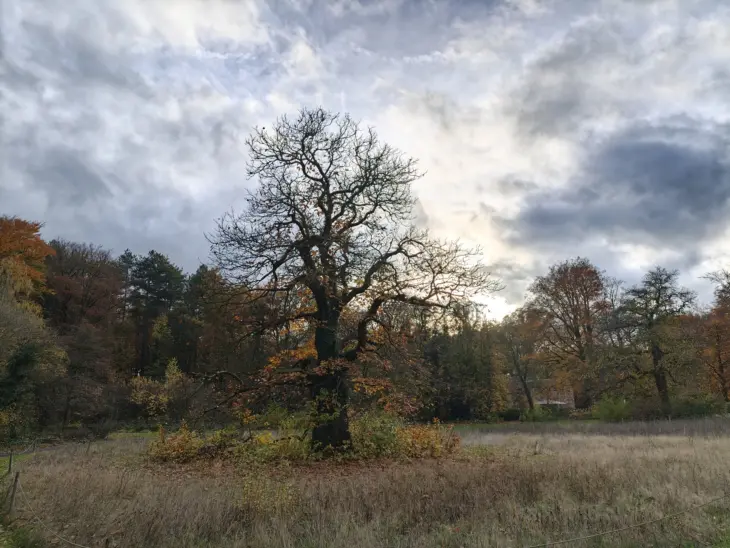 Oppo-Find-X9-Pro-bos Oppo-Find-X9-Pro-bos