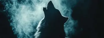 Arctic Wolf lance Decipio pour la détection précoce du vol d’identifiants