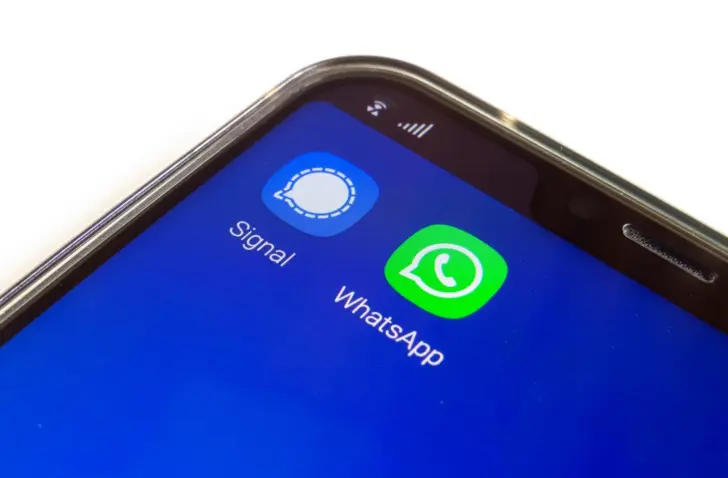 signal whatsapp