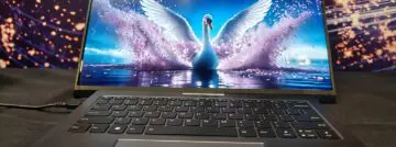 project swan ifa