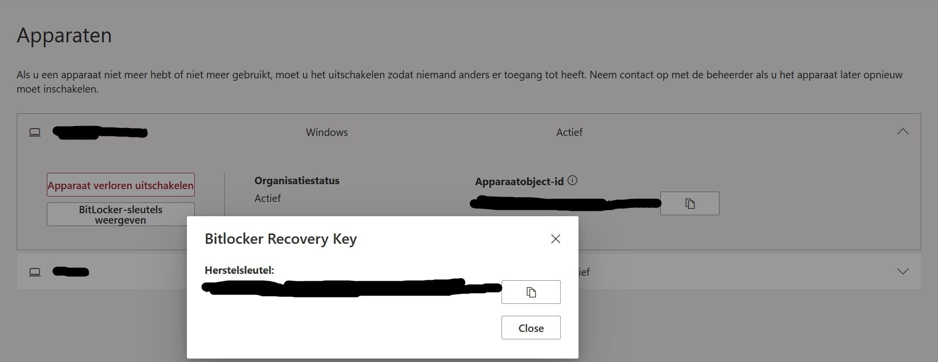 bitlocker sleutel microsoft