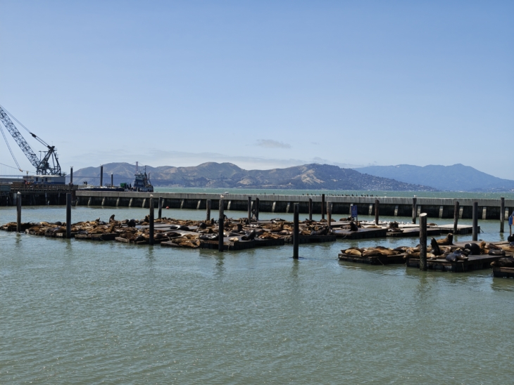 IMG_20250602_140226456_HDR