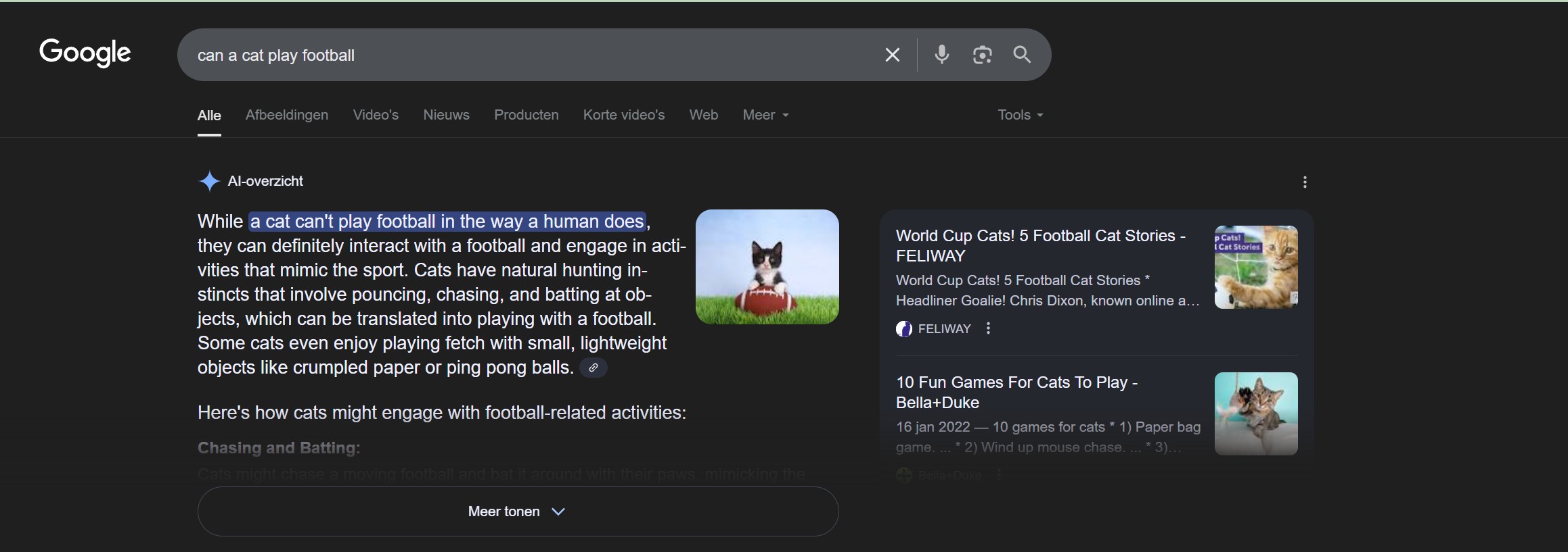 google ai overview aperçu ia google